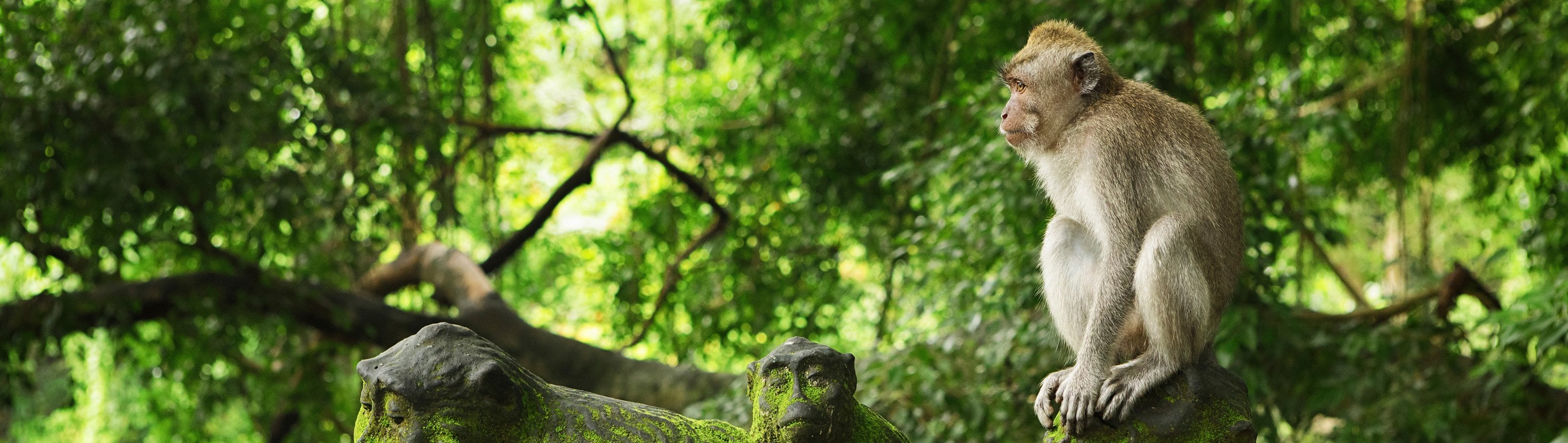 fae_1 itineraryImageDesktop