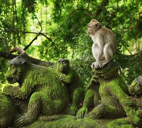 fae_1_mobile Mobile Image