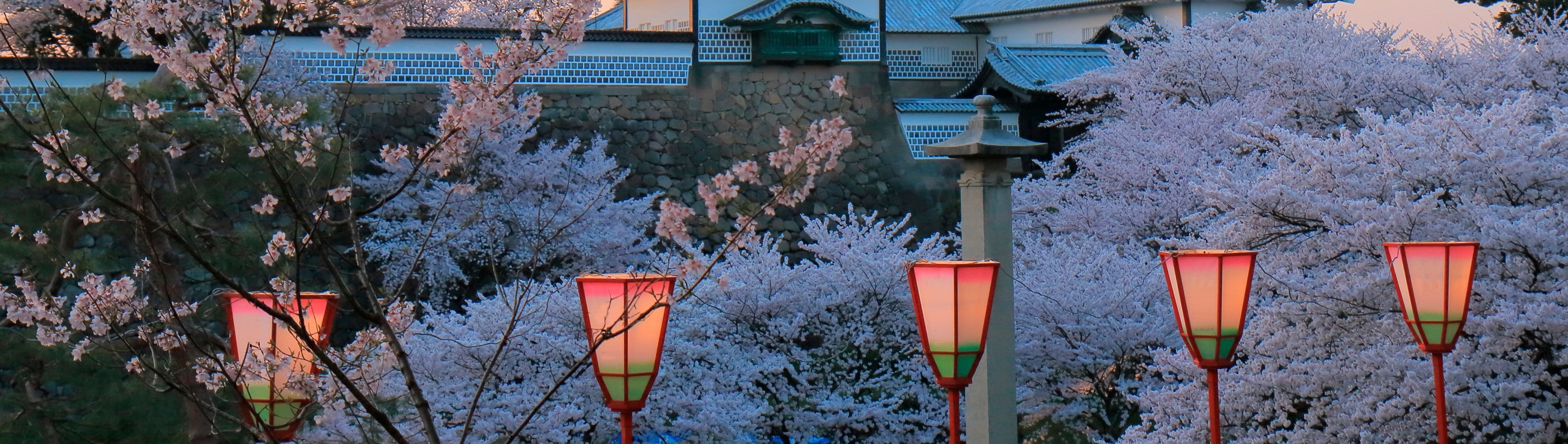 fyc_fae_05 itineraryImageDesktop