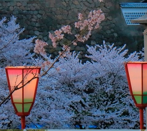 fyc_fae_05_mobile Mobile Image