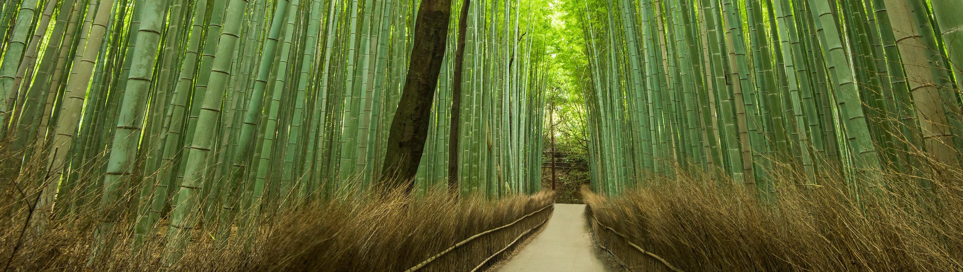 fyc_fae_07 itineraryImageDesktop