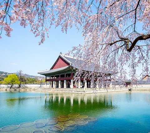 fyc_fae_11_mobile Mobile Image