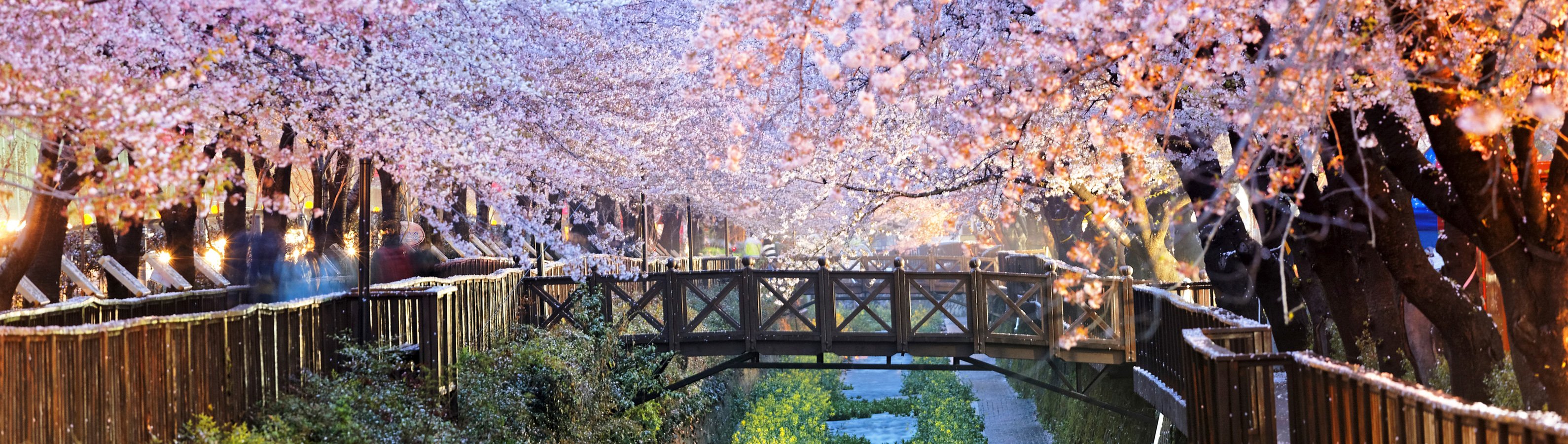 itineraryImageDesktop