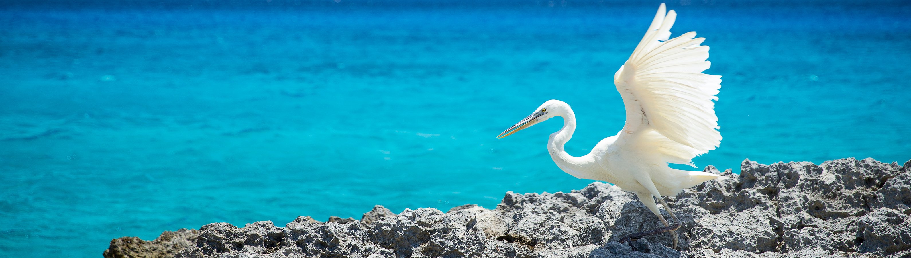 fyc_car_08 itineraryImageDesktop