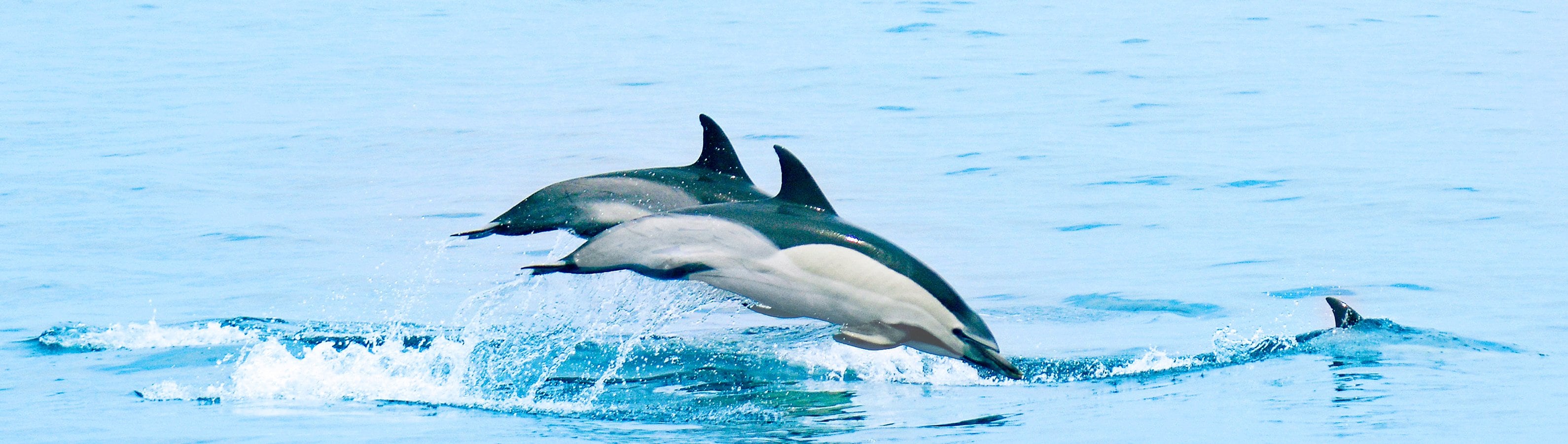 fyc_car_21 itineraryImageDesktop