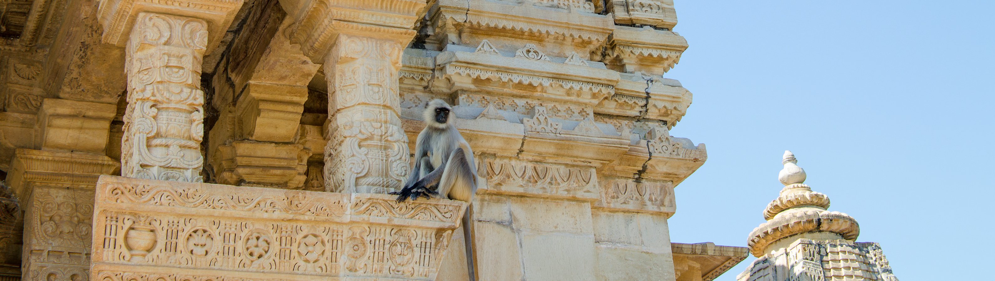 itineraryImageDesktop