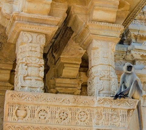 fyc_emw_06_mobile Mobile Image