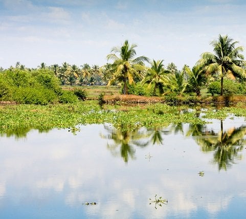 fyc_emw_18_mobile Mobile Image