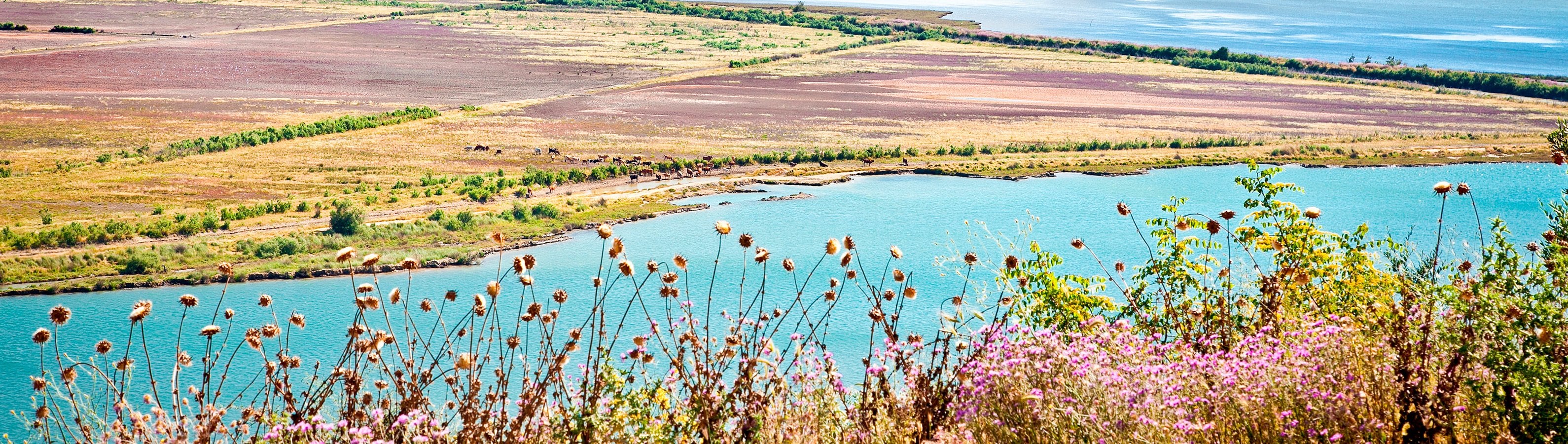 fyc_gv_14 itineraryImageDesktop