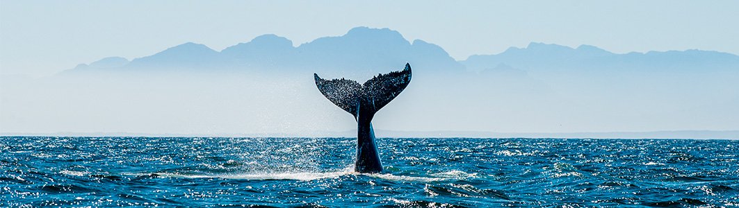 fyc_saf_15 itineraryImageDesktop