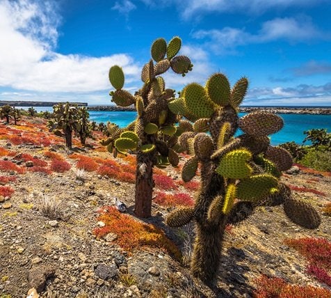 fyc_soa_15_mobile Mobile Image