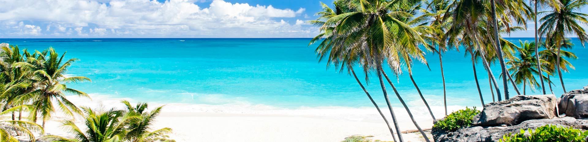 Tropical beach with turquoise water and palm trees, ideal for cruise destinations | MSC Cruises Tropical beach with turquoise water and palm trees, ideal for cruise destinations | MSC Cruises