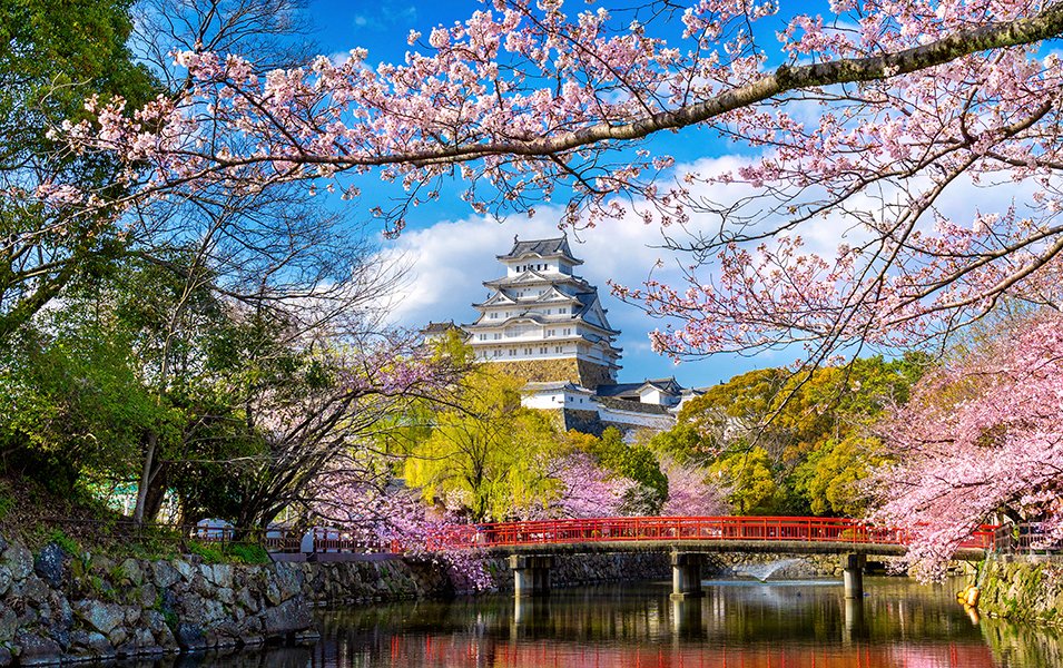 Osaka - Japan, Asia | MSC Cruises