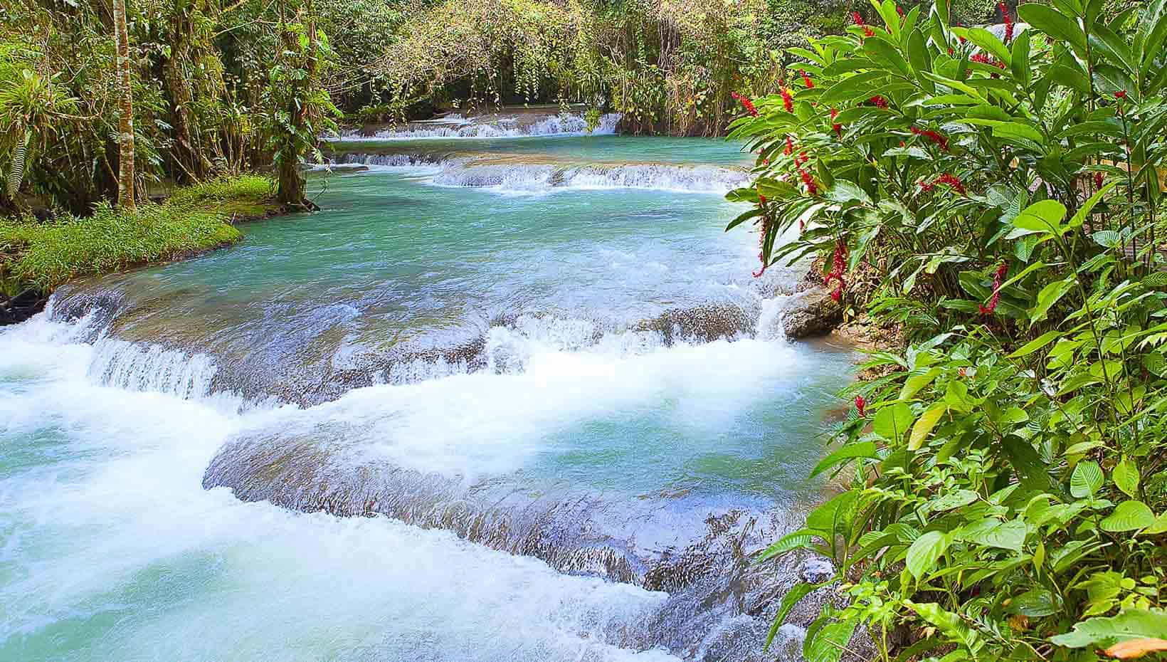 A serene tropical river with cascading waterfalls surrounded by lush greenery | MSC Cruises A serene tropical river with cascading waterfalls surrounded by lush greenery | MSC Cruises