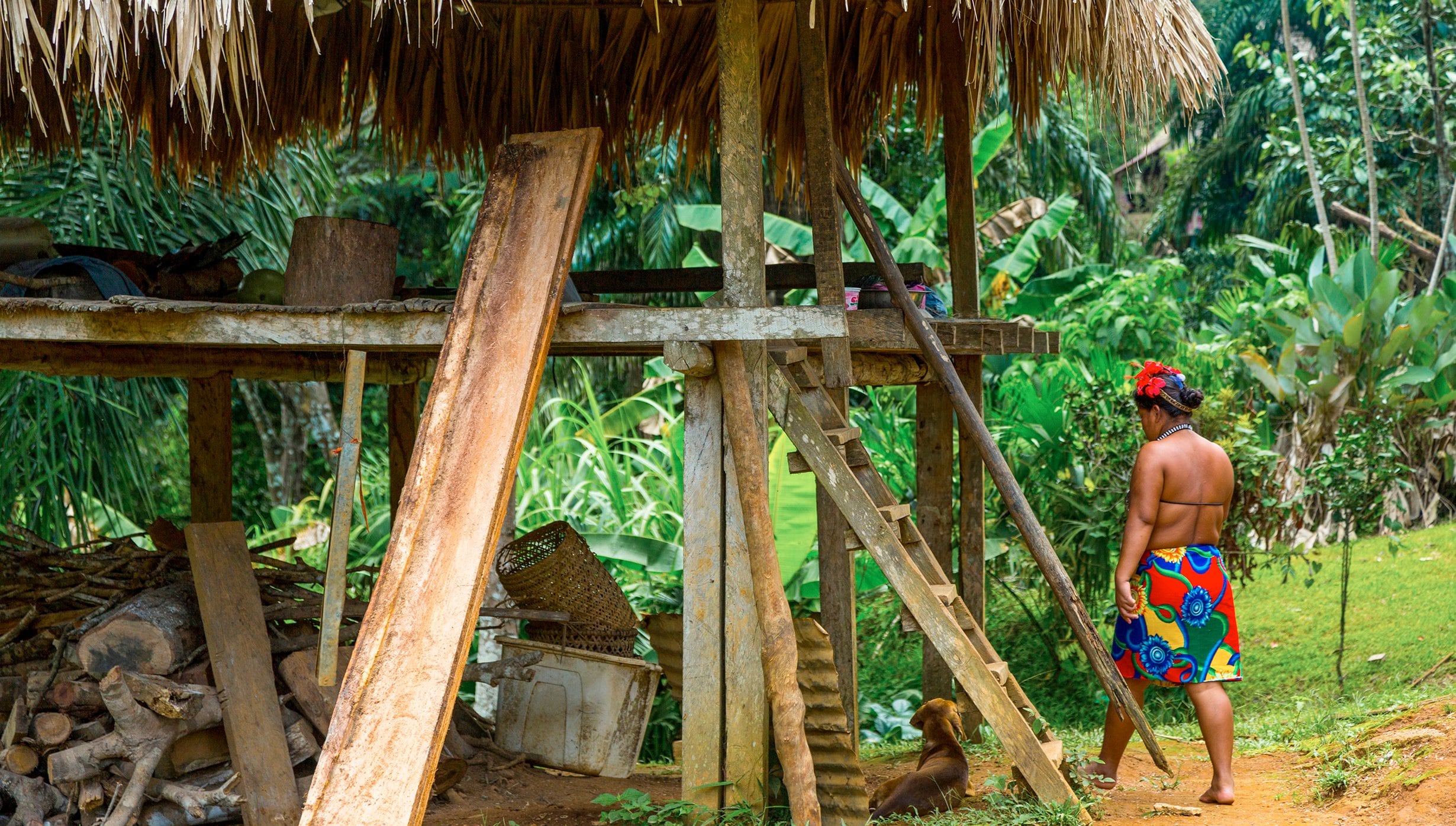 Panama Canal cruise, Emberá villages| MSC Cruises Panama Canal cruise, Emberá villages| MSC Cruises