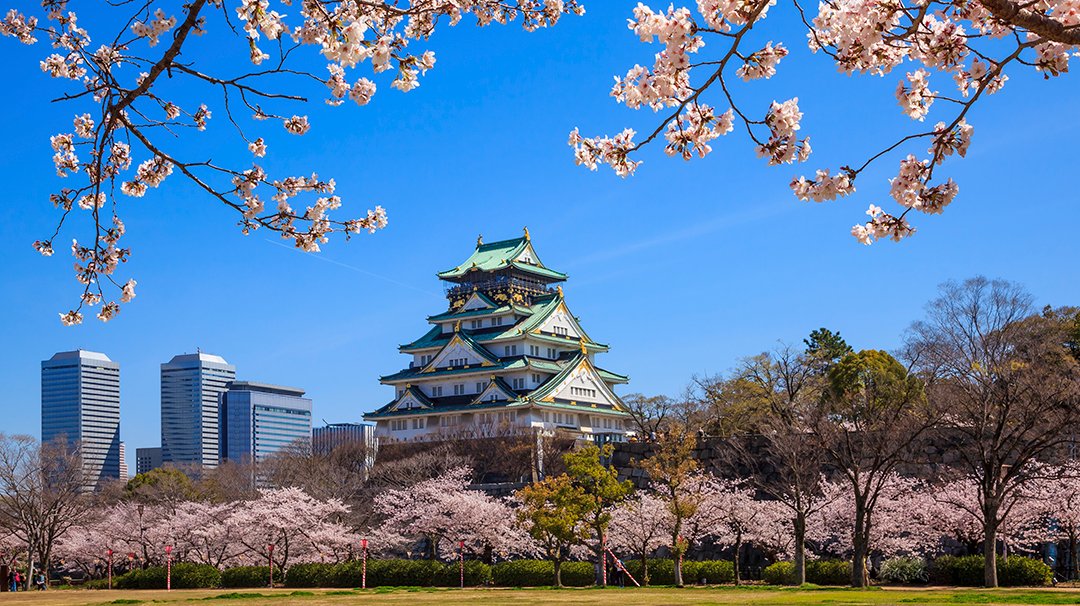 MSC World Cruise 2021, Osaka | MSC Cruises MSC World Cruise 2021, Osaka | MSC Cruises