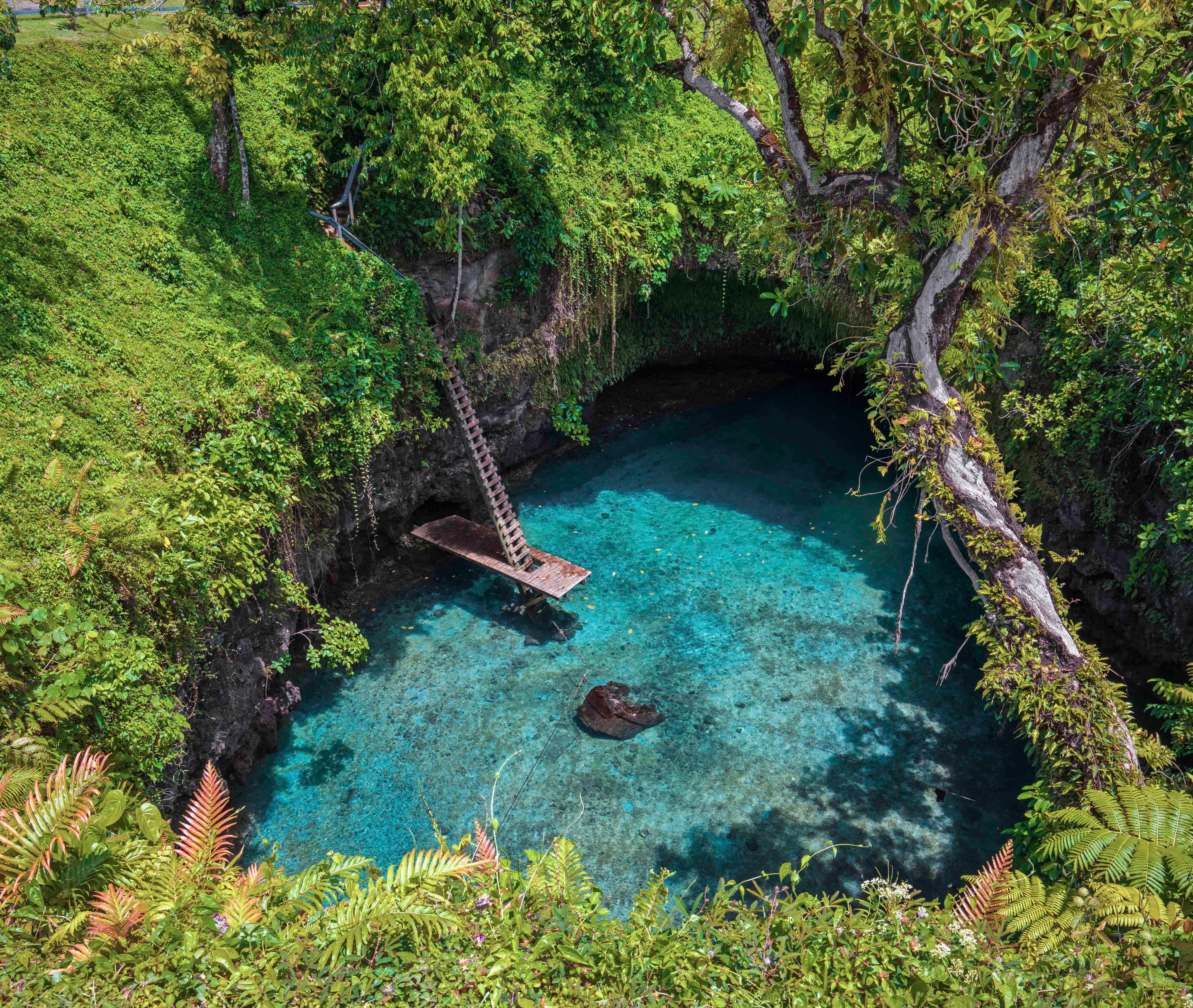 MSC World Cruise 2027, Apia | MSC Cruceros