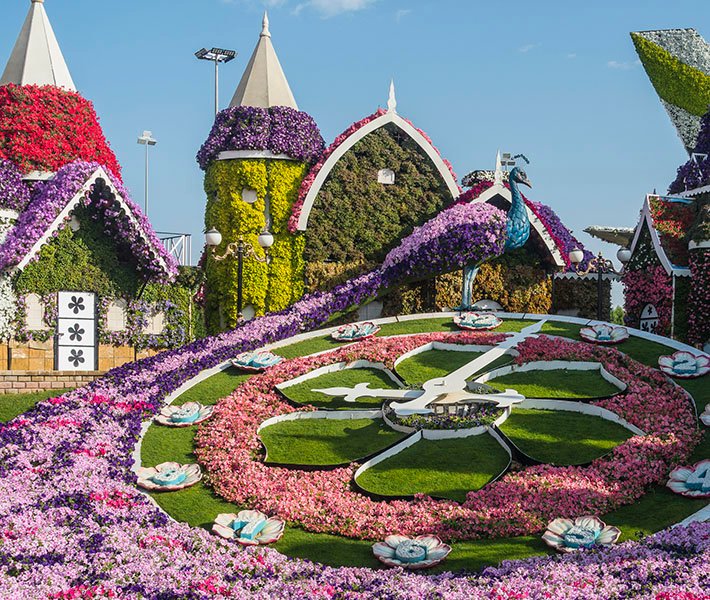 Tours por Dubai, Miracle Garden | MSC Cruceros 