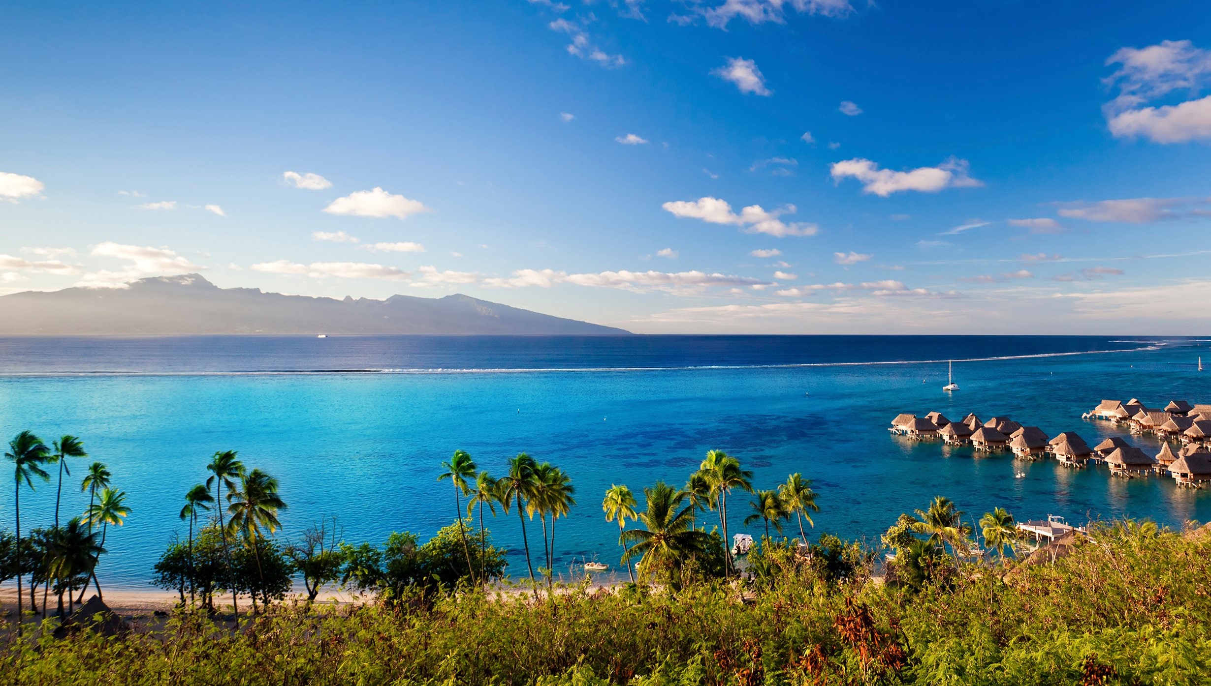 Moorea Cruise Moorea Cruise