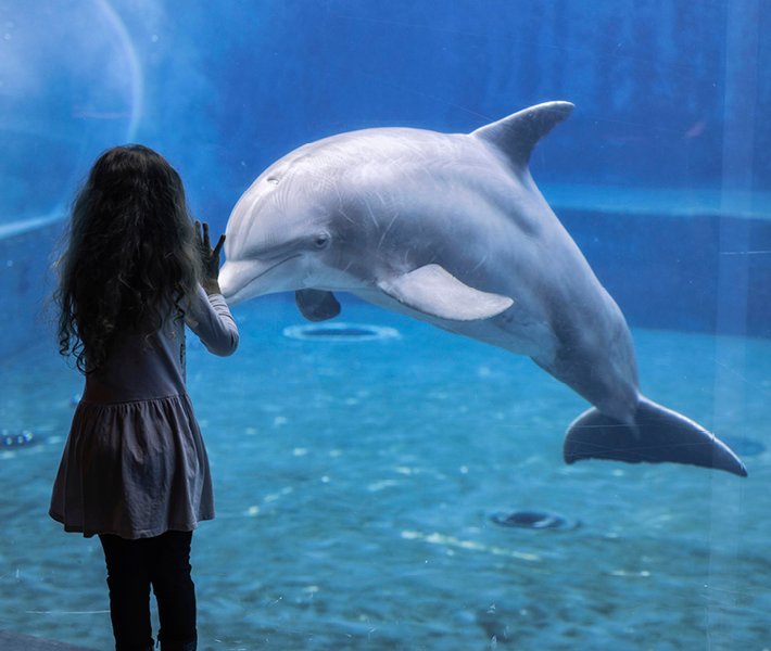 Genoa tours, aquarium | MSC Cruises