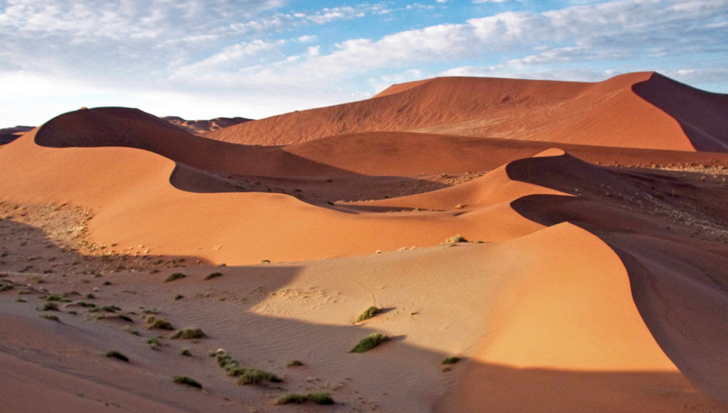Luderitz Cruise Luderitz Cruise