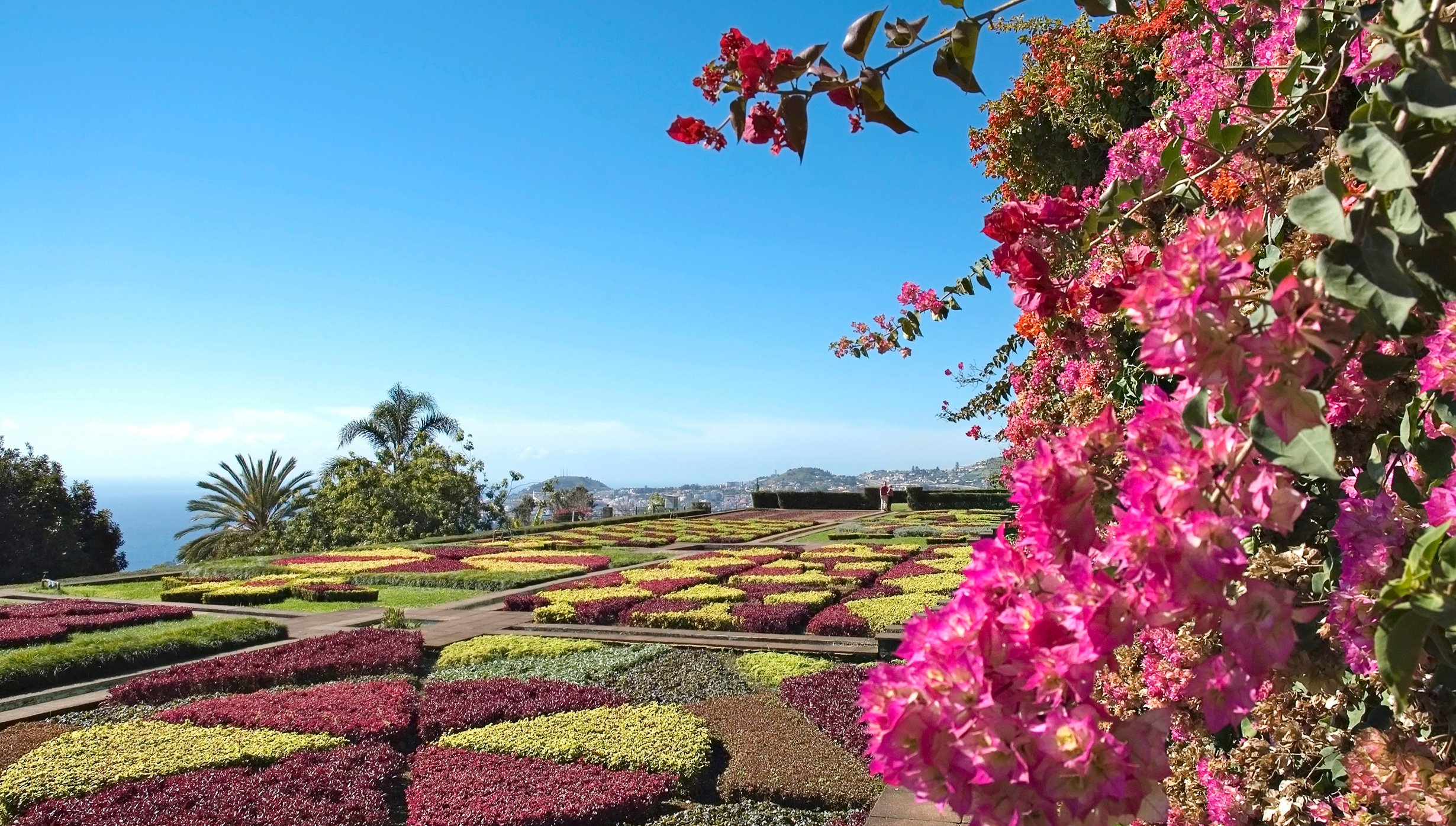 Funchal Cruise Funchal Cruise