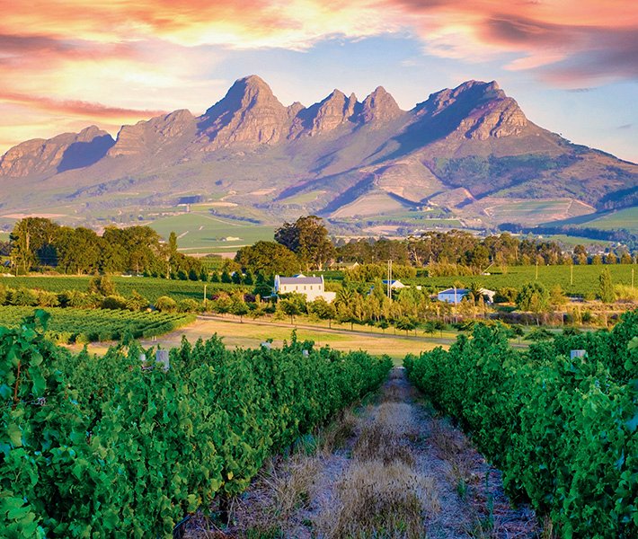 Cape Town tours, Groot Constantia | MSC Cruises