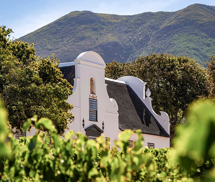 Cape Town tours, Groot Constantia | MSC Cruises