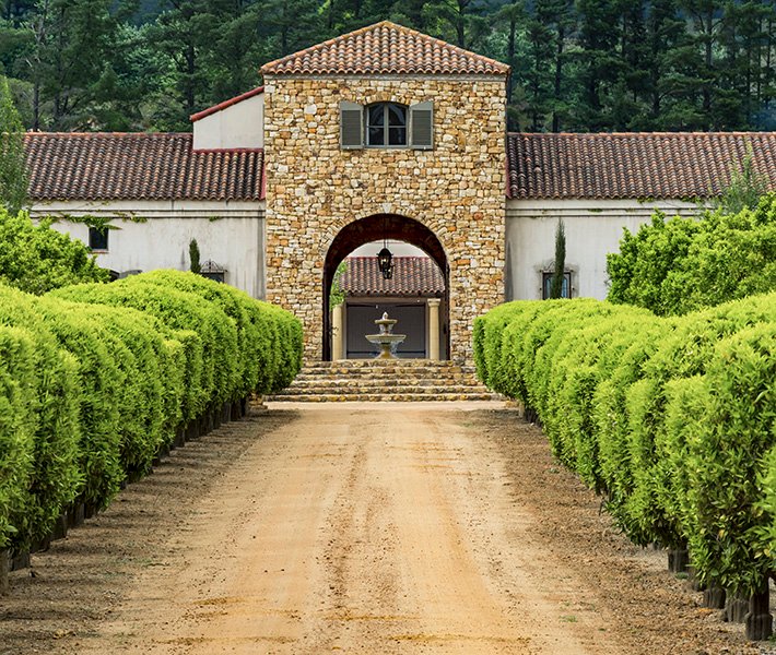 Cape Town tours, Stellenbosch | MSC Cruises