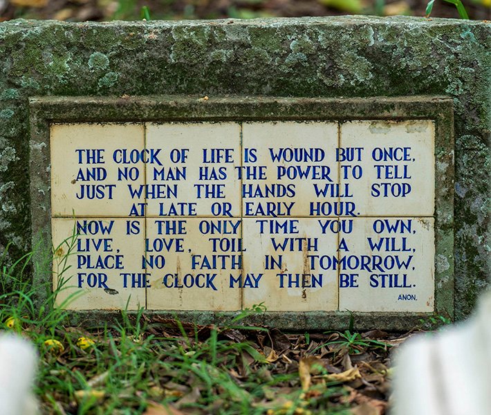 Durban tours, Botanic Gardens | MSC Cruises