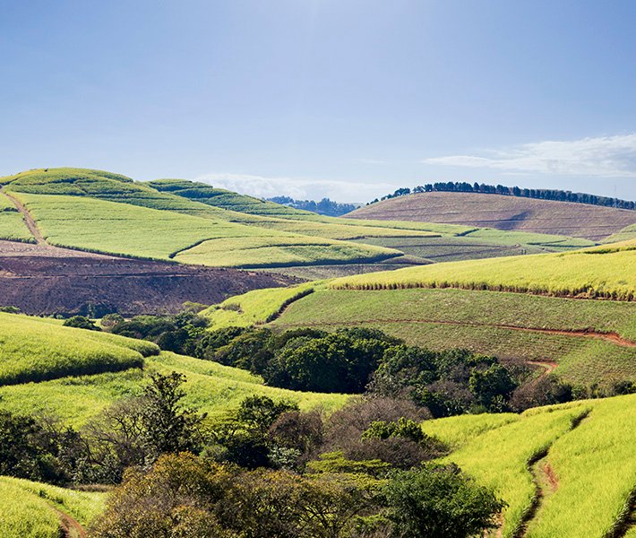 Durban tours, Valley of a Thousand Hills| MSC Cruises