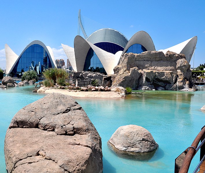 Valencia tours, Oceanogràfic | MSC Cruceros Valencia tours, Oceanogràfic | MSC Cruceros