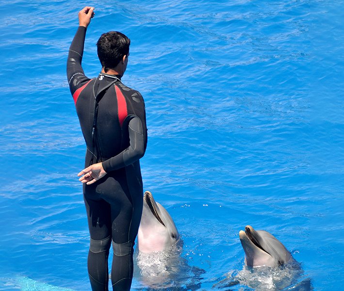 Valencia tours, Oceanogràfic | MSC Cruceros Valencia tours, Oceanogràfic | MSC Cruceros