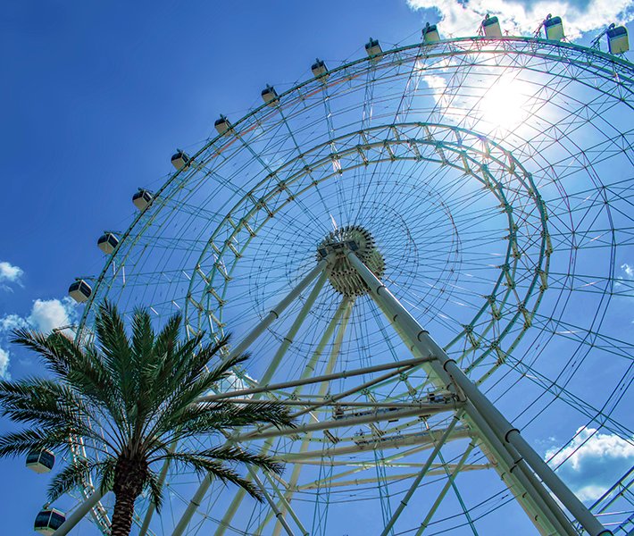 Port Canaveral tours, Theme Park | MSC Cruises