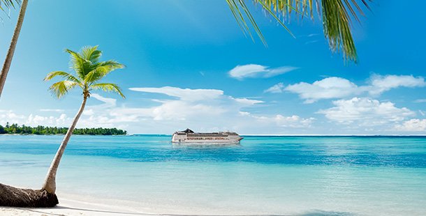 A cruise ship on turquoise waters near a tropical beach with palm trees | MSC Cruises