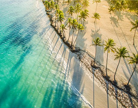 Caribbean cruises | MSC Cruises