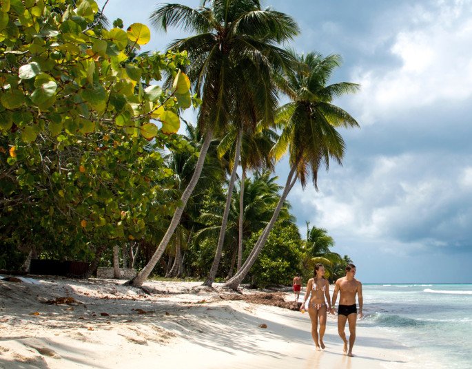 Couple walking along a tropical beach with palm trees and calm waters | MSC Cruises